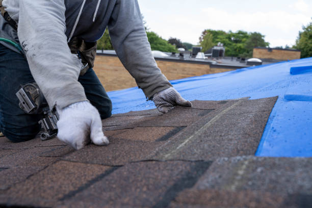 Roof Waterproofing Services in St Albans, WV